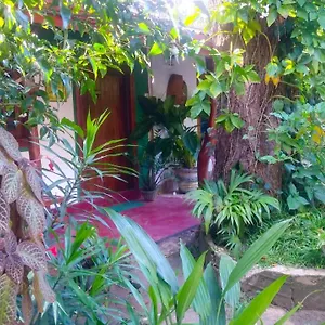 book here