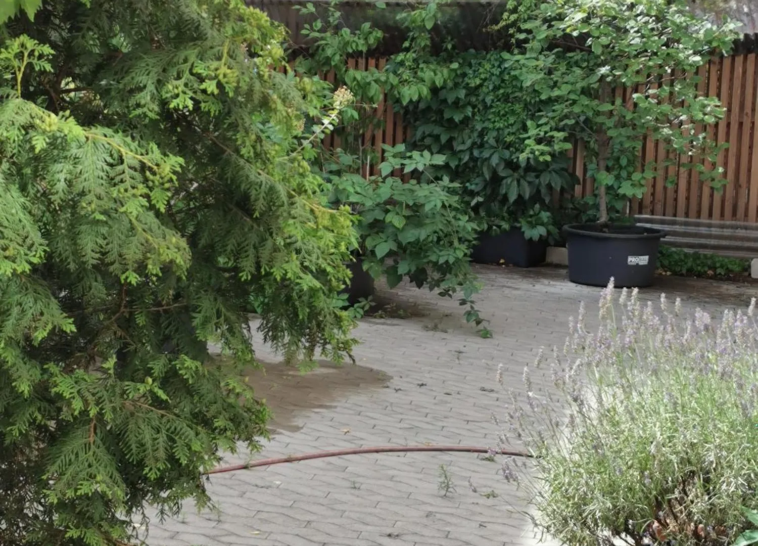 Homestay Nuernberg Neurenberg